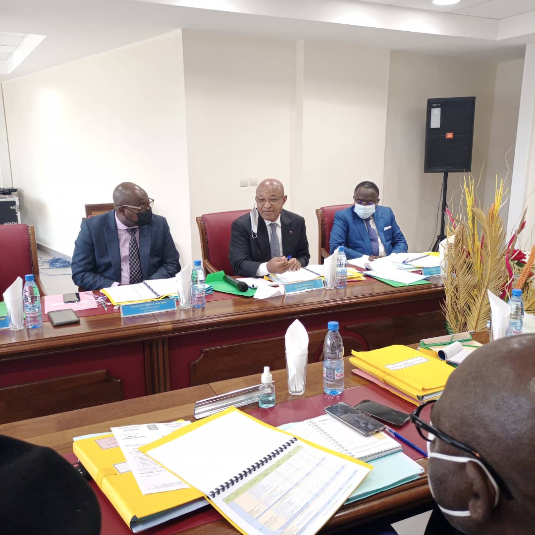 Emmanuel Nganou Djoumessi préside la 34ème session du Conseil d’Administration de l’INS