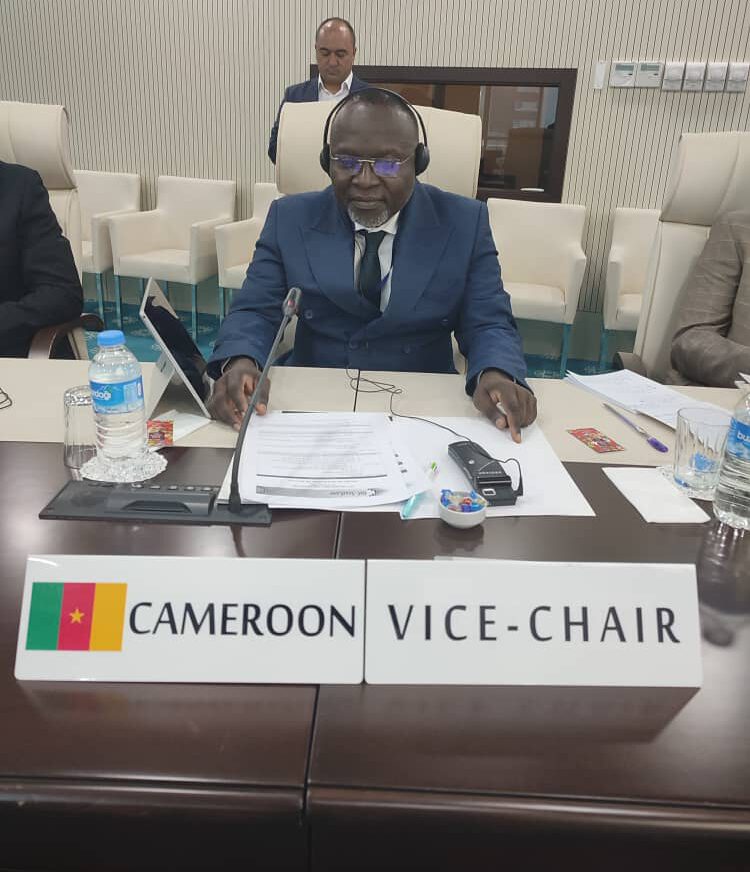 11ème  Session De l’OIC-STATCOM : Le Cameroun occupe une place de choix